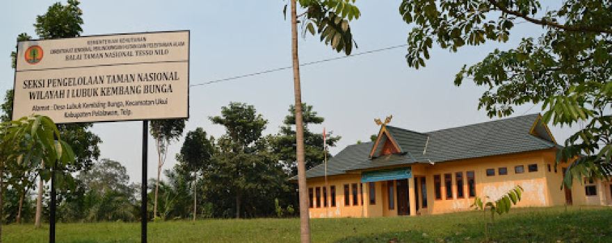 Tesso Nilo National Park