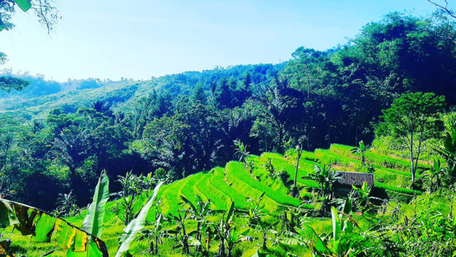 Wisata Situs Gunung Padang