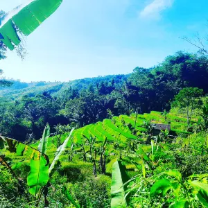Wisata Situs Gunung Padang