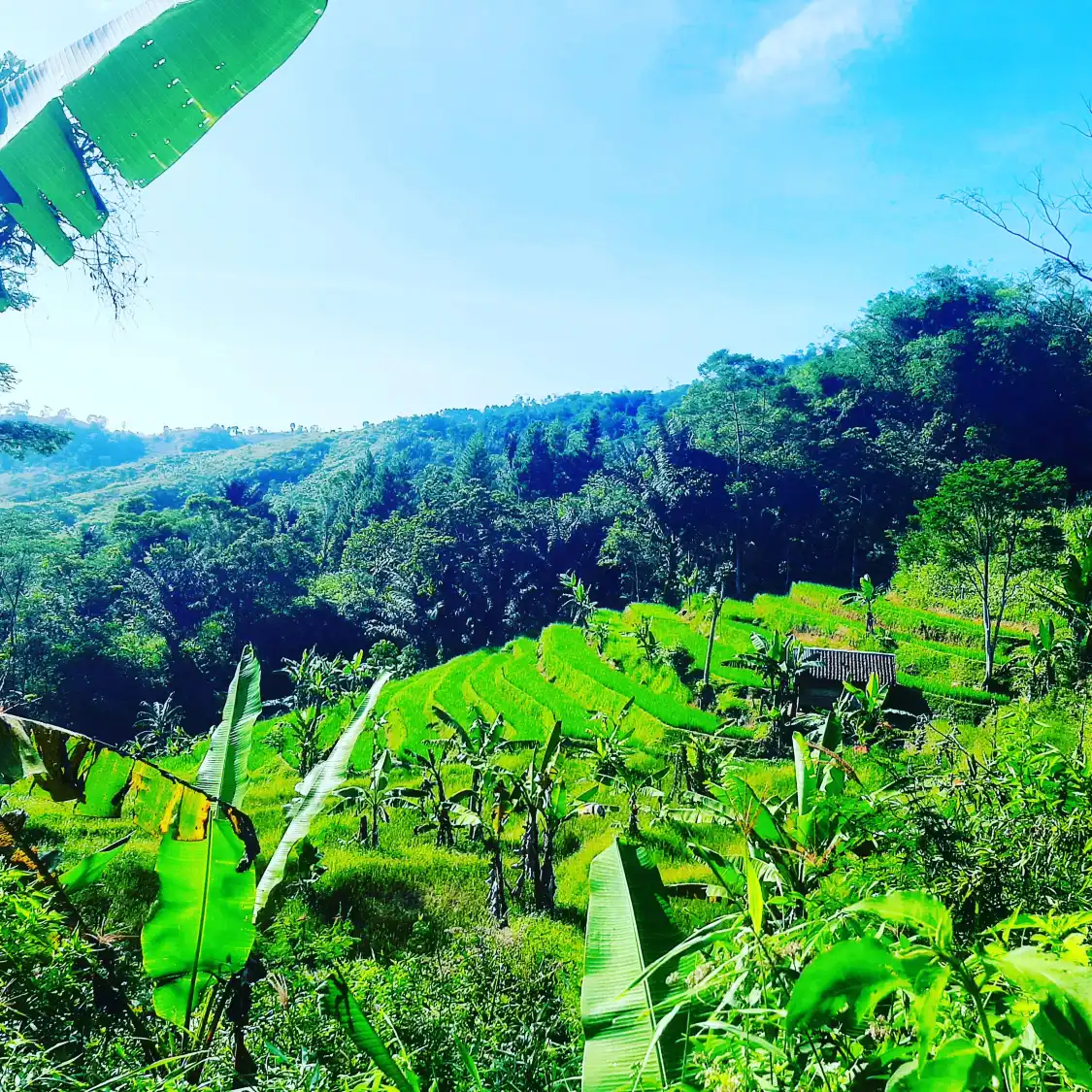 Hotel dekat Wisata Situs Gunung Padang