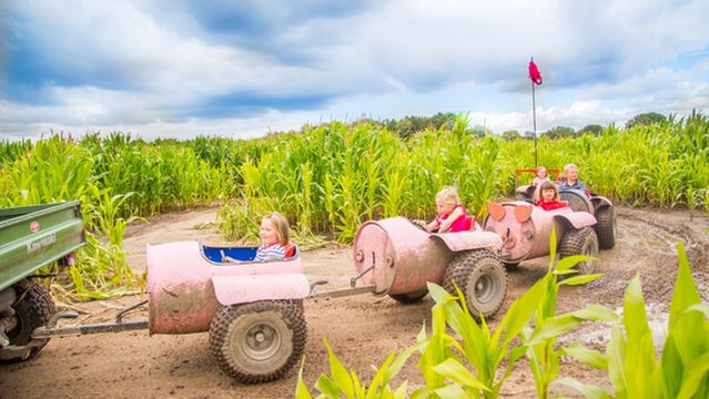 Piglets Adventure Farm