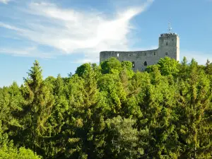Radyně Castle