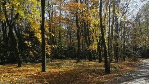 Silesia Park attraction in 폴란드