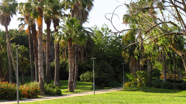 Parque Tejo