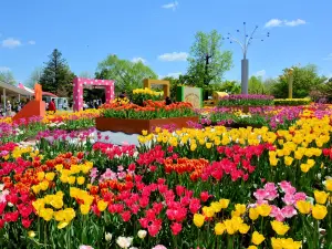 Tonami Tulip Park