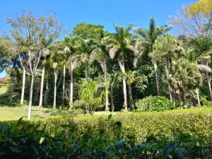 Else Kientzler Botanical Garden