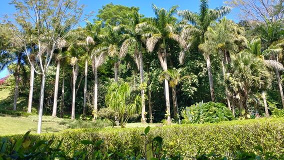 Else Kientzler Botanical Garden