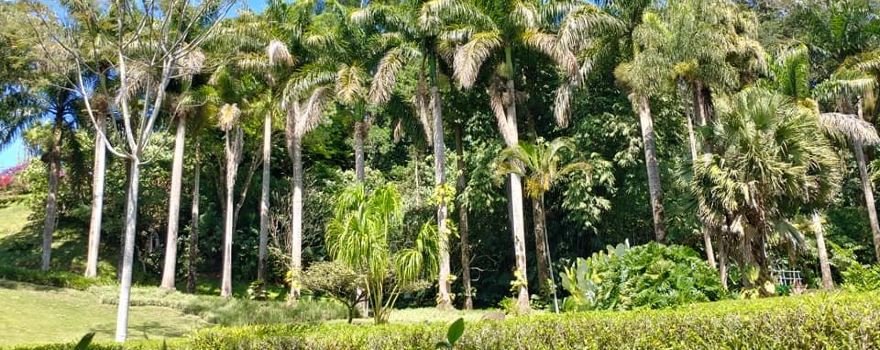 Else Kientzler Botanical Garden
