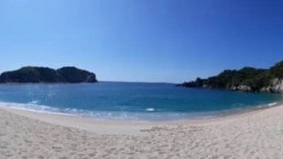 Cacaluta