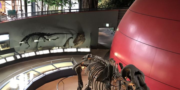 Hyogo Prefectural Operated Human and Nature Museum