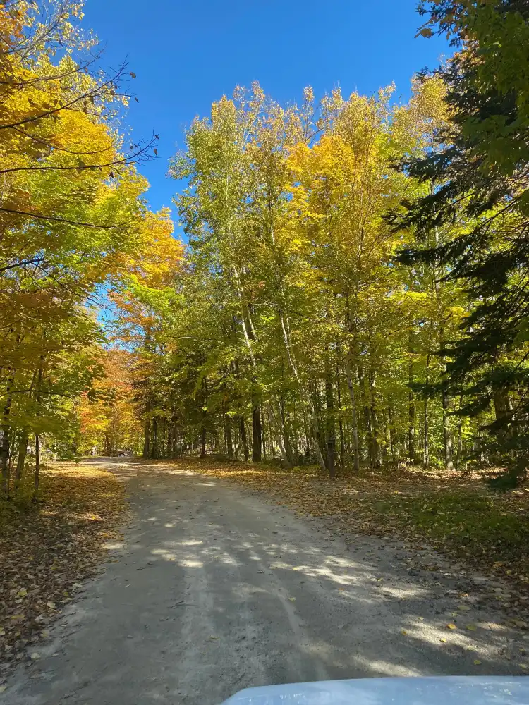 Hotels in Unorganized Centre Parry Sound District