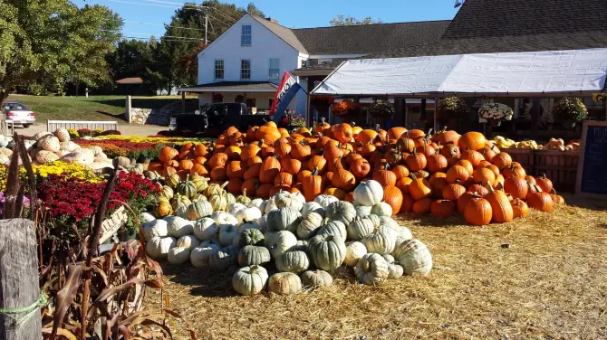 3_Lull Farm