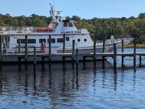 Hurricane Fleet