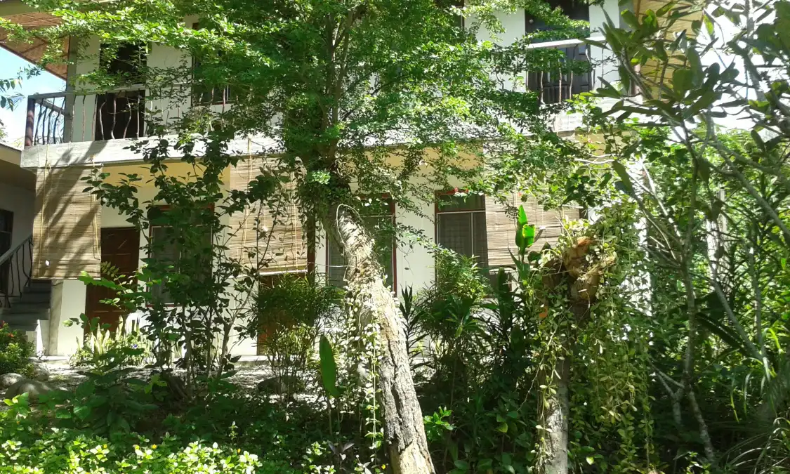 Hotels near Hambilica Firefly Hatchery And Sanctuary