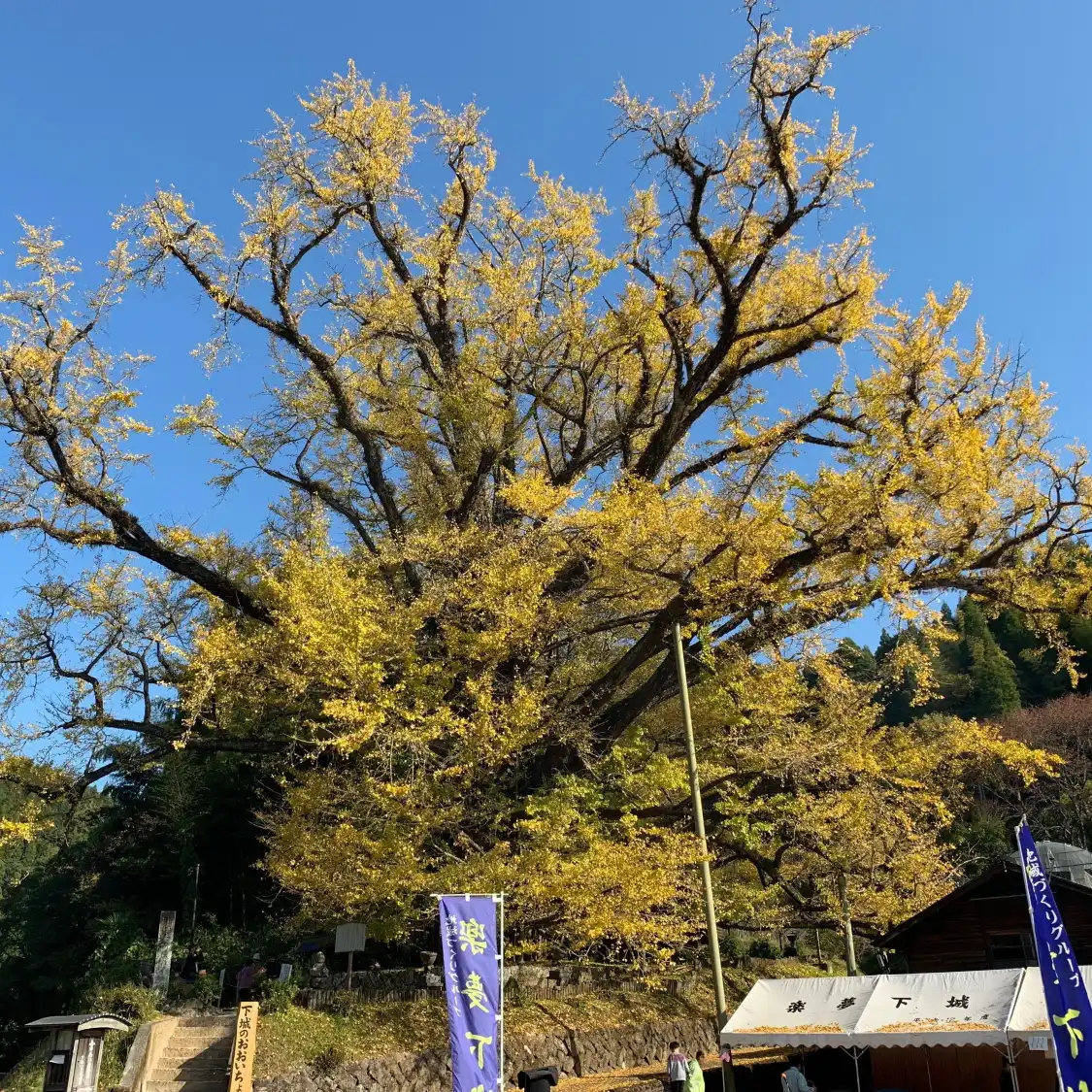Hotels near Shimonjyo Oichou
