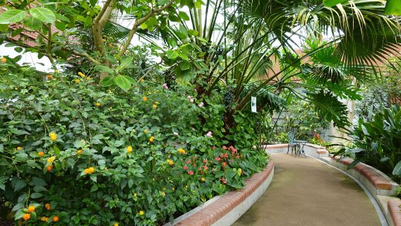 Iwamizawa Park