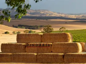 Pindarie