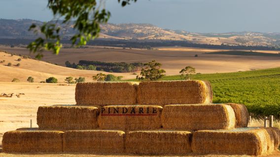 Pindarie