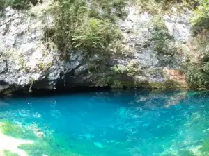 Source of the Gorgazzo