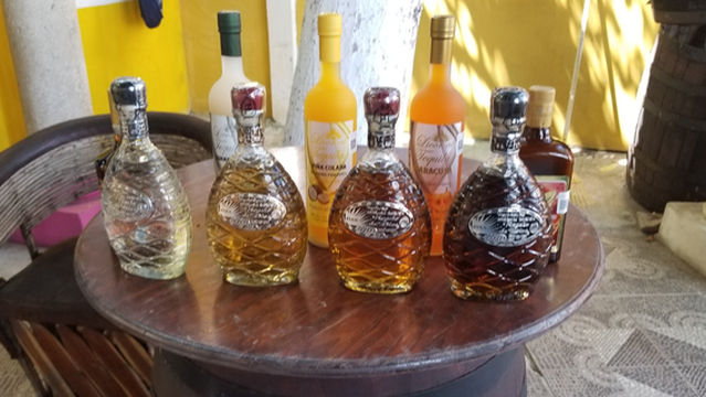 Mi Mexico Lindo Tequila Tour THIS IS A SCAM!