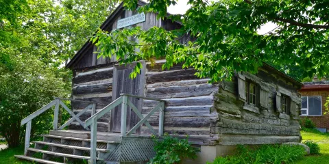 Waterloo Park