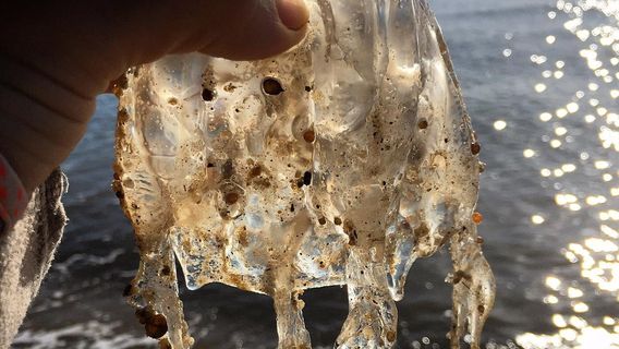 Daintree River Cruise Centre