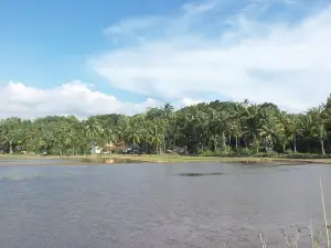Situ Gede Attractions