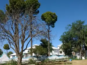 Haidakhan Babaji Temple
