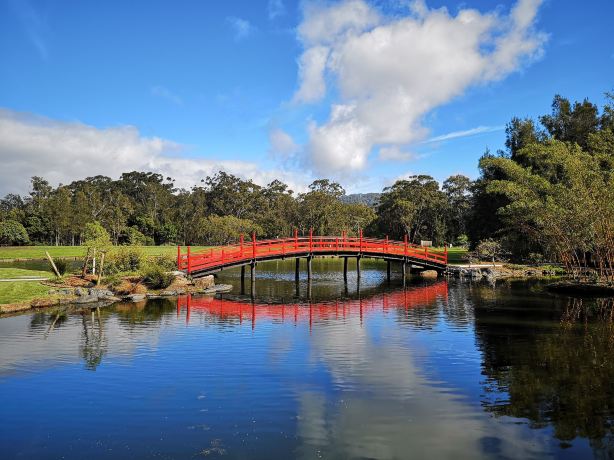 North Coast Regional Botanic Garden - Coffs Harbour