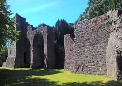 Maynooth Castle