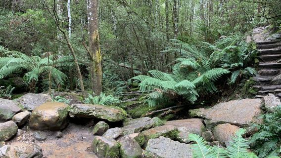Snug Falls