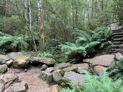 Snug Falls