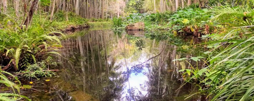 Tondoon Botanic Gardens