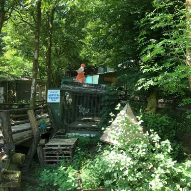 Festival Park Owl Sanctuary