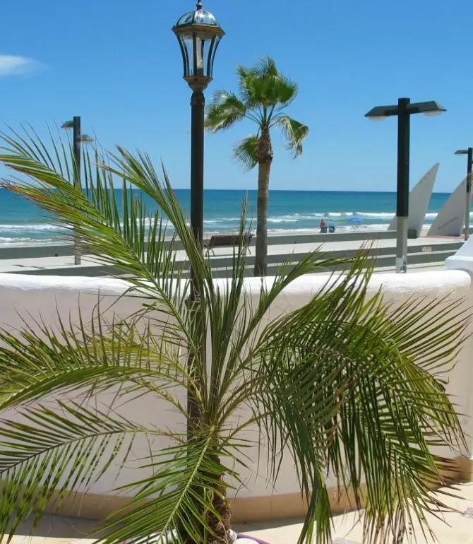 Oropesa