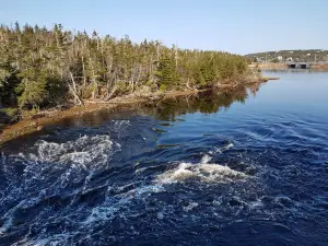 Atlantic View Trail