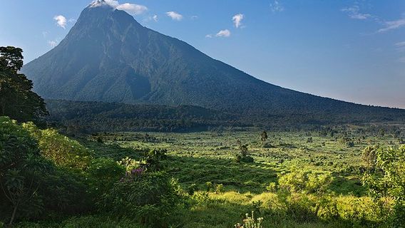 Virunga National Park - Mount Nyiragongo & Mountain Gorilla Treks