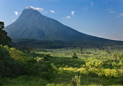 Bunyaruguru