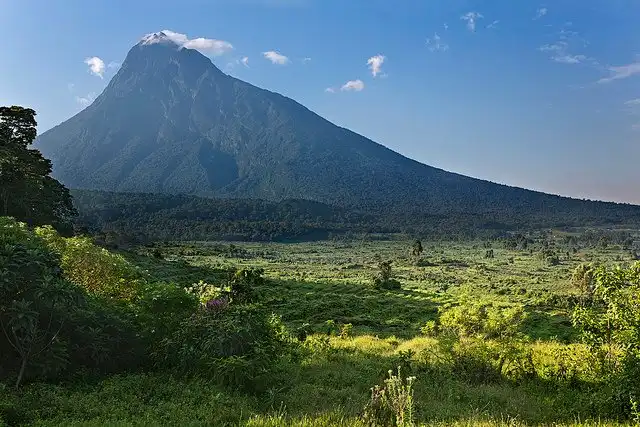 Bunyaruguru