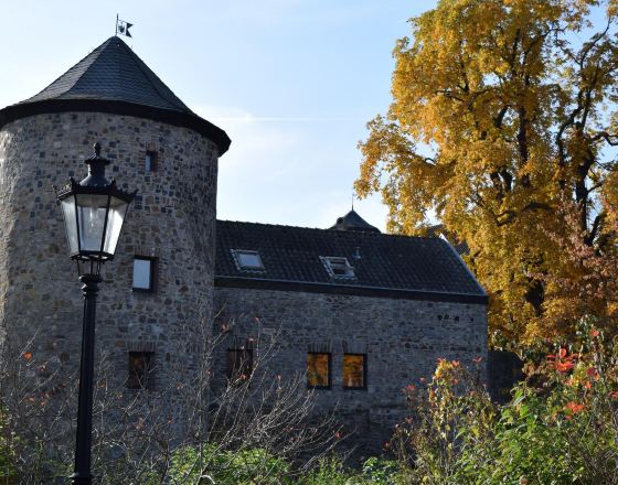 拉廷根 自由行套票