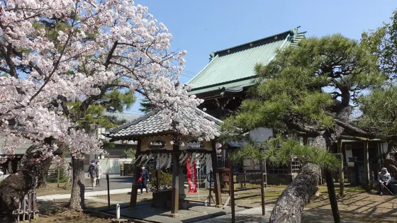 手児奈霊神堂