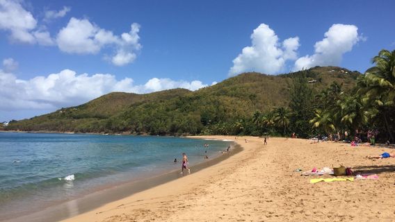 Plage de Grande Anse