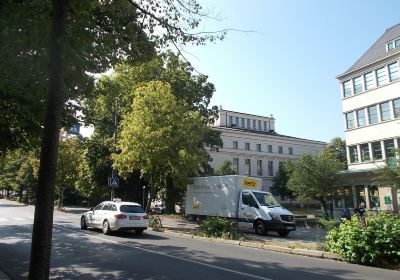 Martin Luther Univerisity