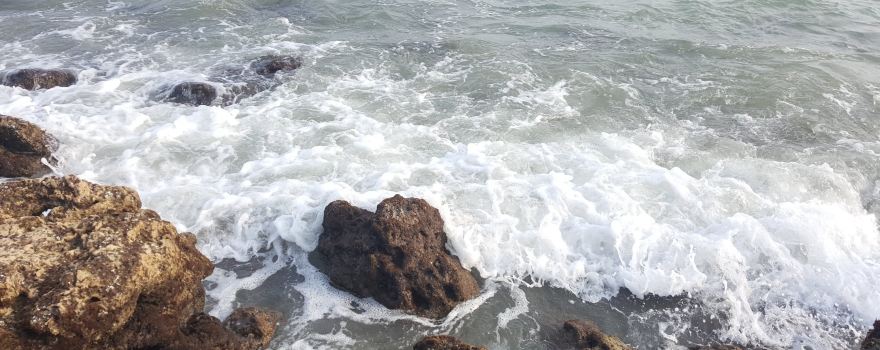 หาดพยูน