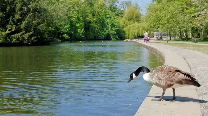 1_Thornes Park