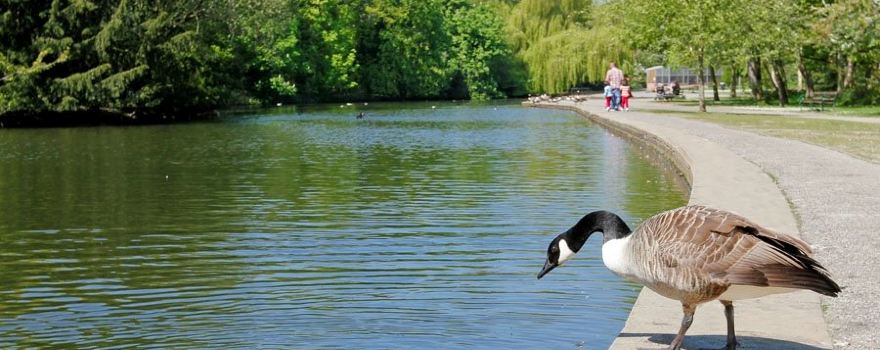 Thornes Park