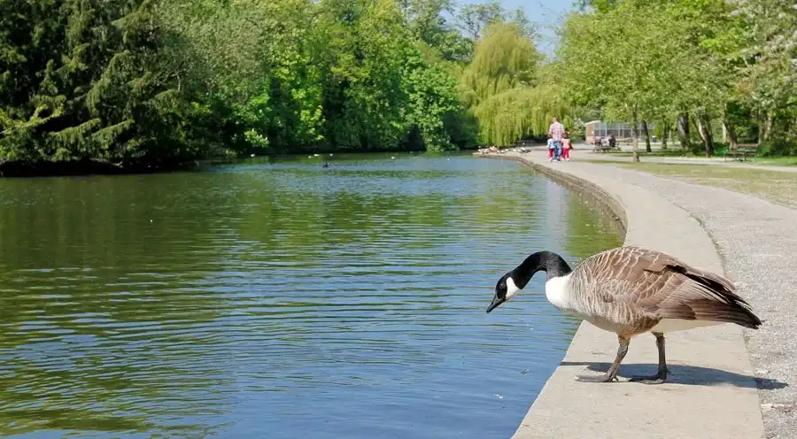 Hotels near Thornes Park