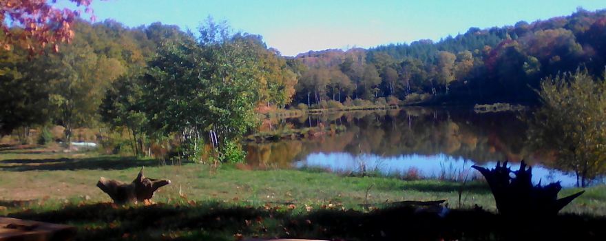 lac des trois chenes/ three oaks lake - peche par jour - day ticket fishing