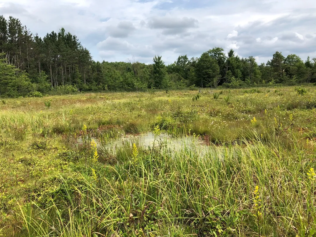 1_Cranesville Swamp Nature Preserve