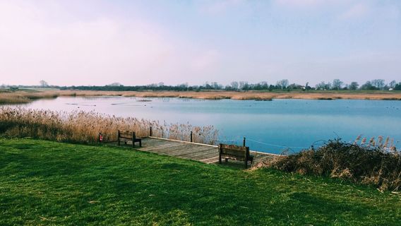 RSPB Langford Lowfields